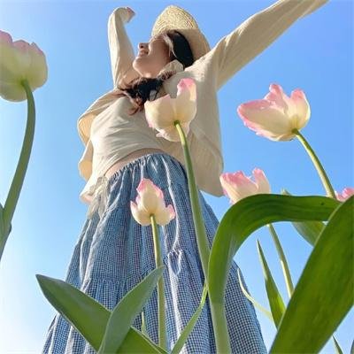 9号秘事第九季 高清在线观看